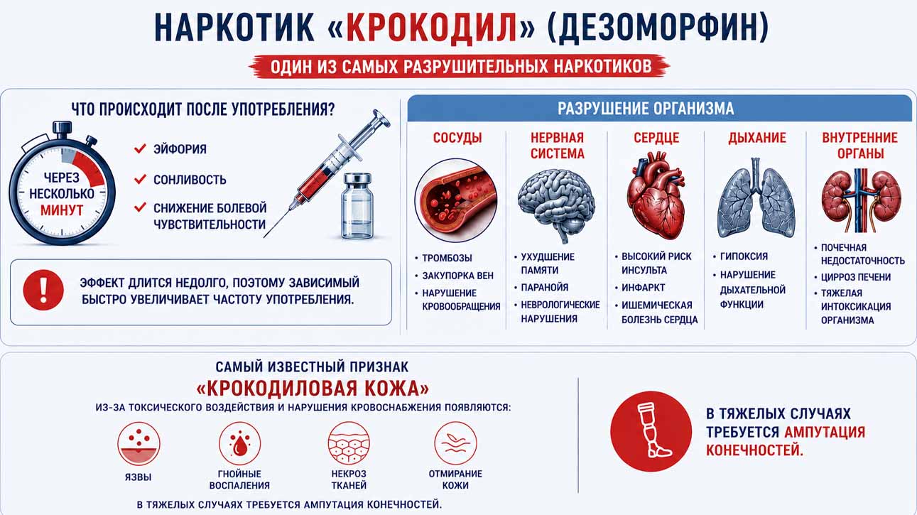Инфографика о последствиях приема дезморфина