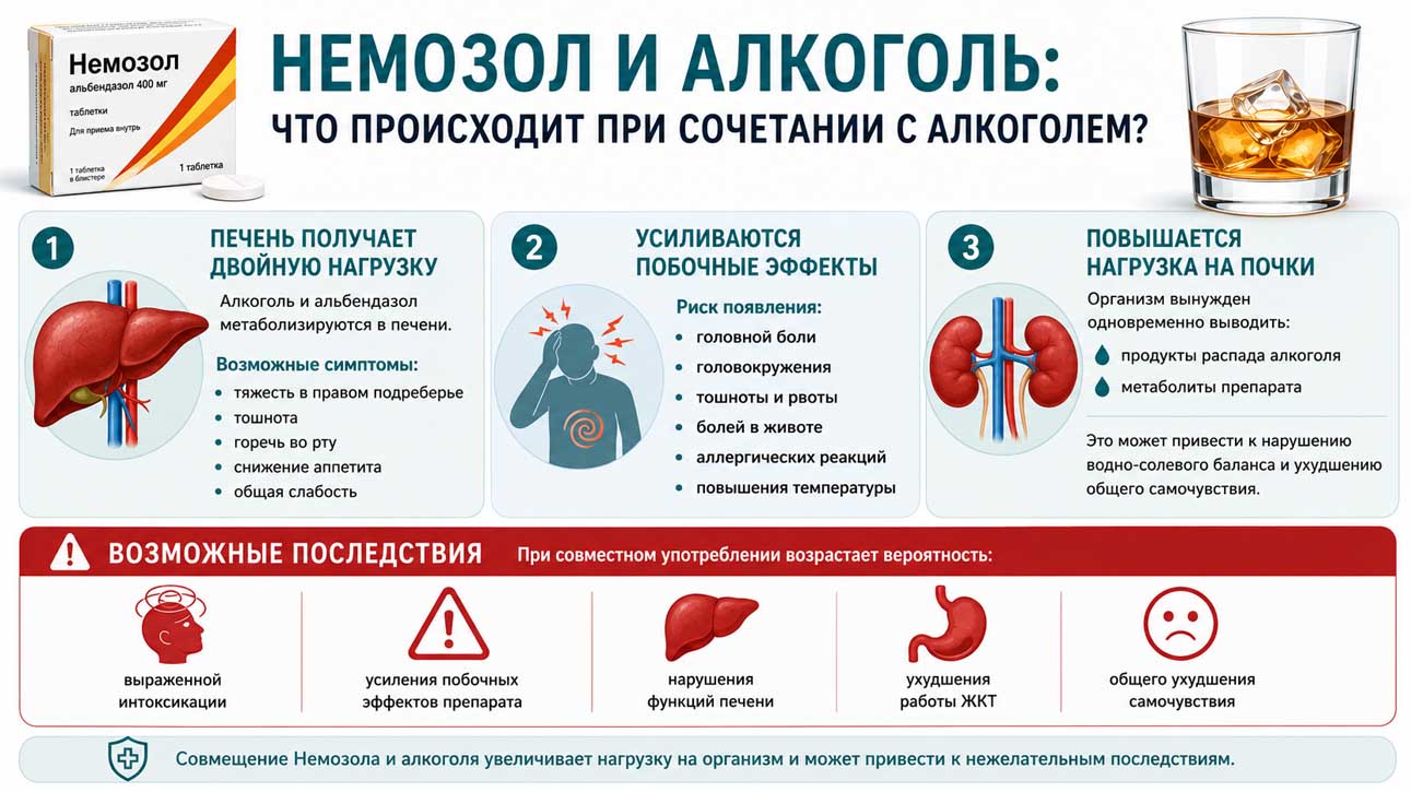Инфографика о совместимости препарата немозол и алкоголя