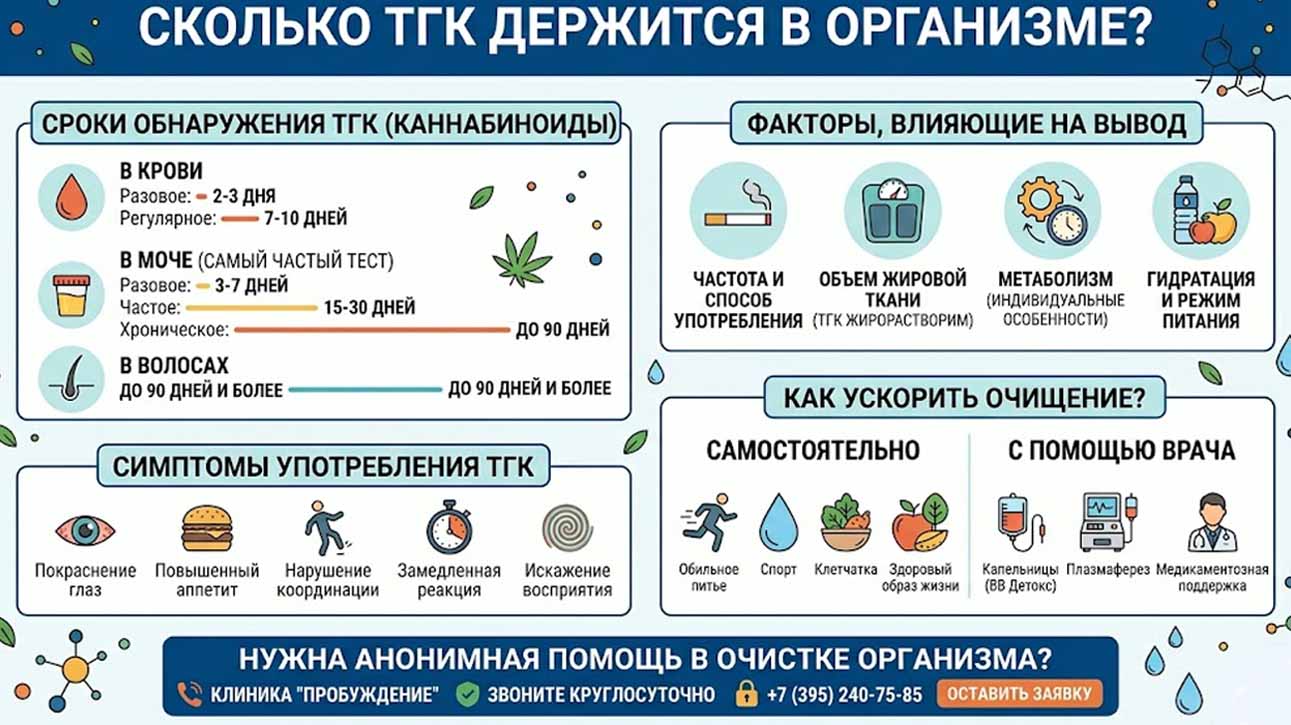 Инфографика о сроках обнаружения каннабиноидов в крови