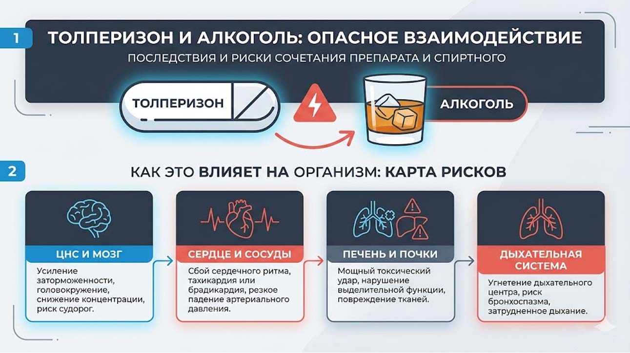 Инфографика о совместимости препарата толперизона и алкоголя